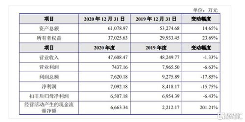 金智教育科創板IPO 聚焦高等教育信息化，2020年營收達4.7億元，軟件開發為核心引擎