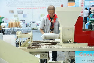 抓好行業標準 研發新型基質為黑木耳產業化發展提速 中國食品報網