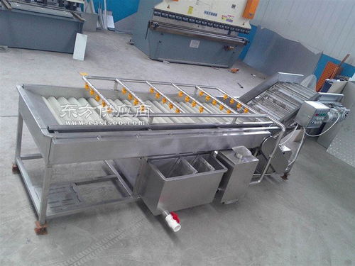 深圳葡萄清洗機(jī) 諸城順澤機(jī)械 葡萄清洗機(jī)圖片